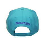 Mitchell & Ness Charlotte Hornets Solid Color Snapback