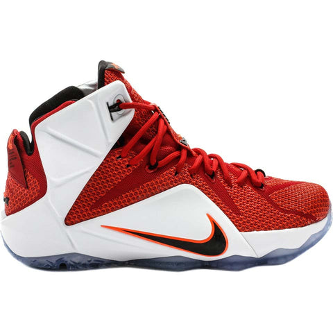 LeBron 12 Lion Heart