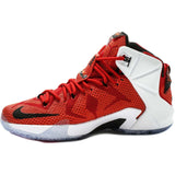 LeBron 12 Lion Heart