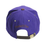 Mitchell & Ness NBA Toronto Raptors Winter Suede Strapback