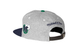 Mitchell & Ness NBA Dallas Mavericks Heather Tailsweeper Strapback